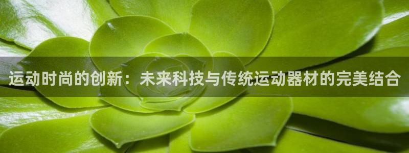 意昂4官方：运动时尚的创新：未来科技与传统运动器材的