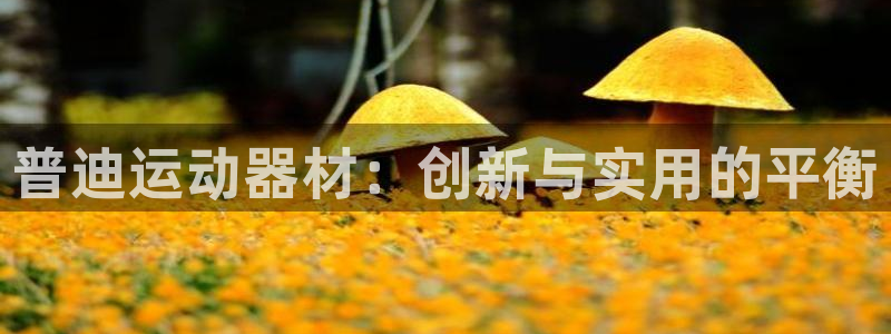 意昂体育4联系电话：普迪运动器材：创新与实用的平衡