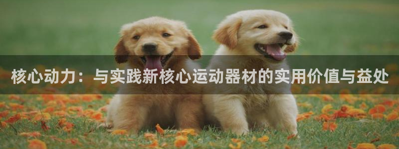 意昂平台体育：核心动力：与实践新核心运动器材的实用价