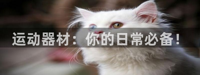 注册意昂4：运动器材：你的日常必备！