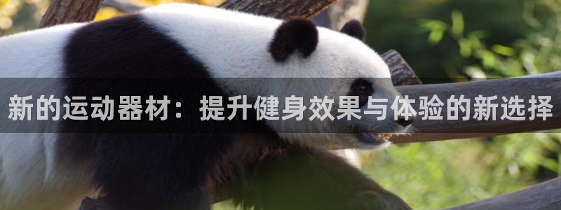 意昂体育4招商电话：新的运动器材：提升健身效果与体验