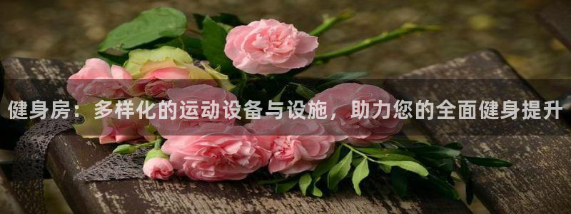 意昂4集团官网首页网址：健身房：多样化的运动设备与设