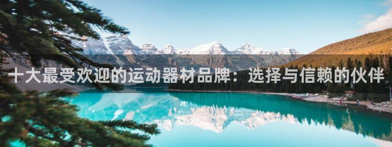 意昂4娱乐平台：十大最受欢迎的运动器材品牌：选择与信