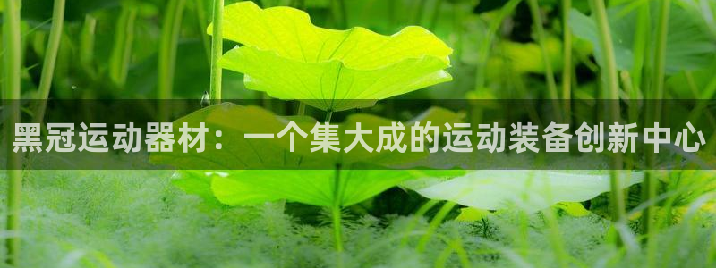 意昂4娱乐：黑冠运动器材：一个集大成的运动装备创新中