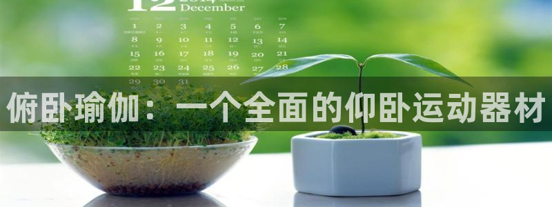 意昂4集团E.ON：俯卧瑜伽：一个全面的仰卧运动器材