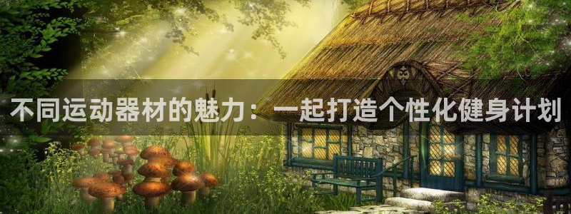 意昂4娱乐网站：不同运动器材的魅力：一起打造个性化健身计划