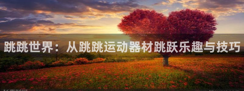 意昂体育4招商电话是多少啊：跳跳世界：从跳跳运动器材