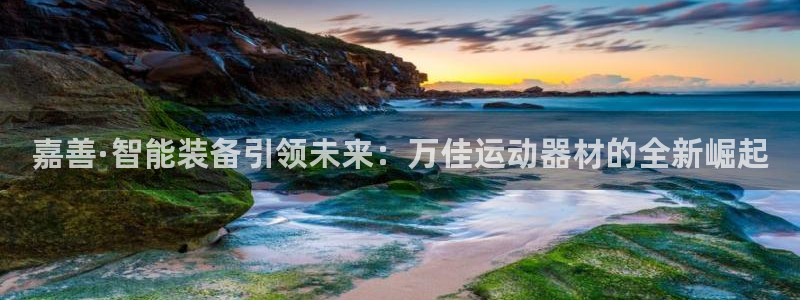 意昂体育4招商电话号码查询是多少：嘉善·智能装备引领