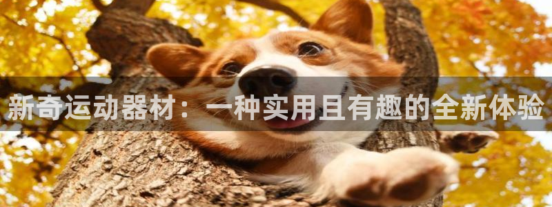 意昂4娱乐首页官网下载：新奇运动器材：一种实用且有趣