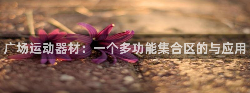 意昂集团官网：广场运动器材：一个多功能集合区的与应用