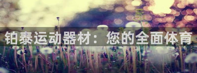 意昂4官方：铂泰运动器材：您的全面体育