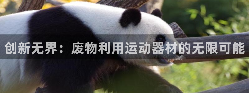 意昂体育4软件：创新无界：废物利用运动器材的无限可能