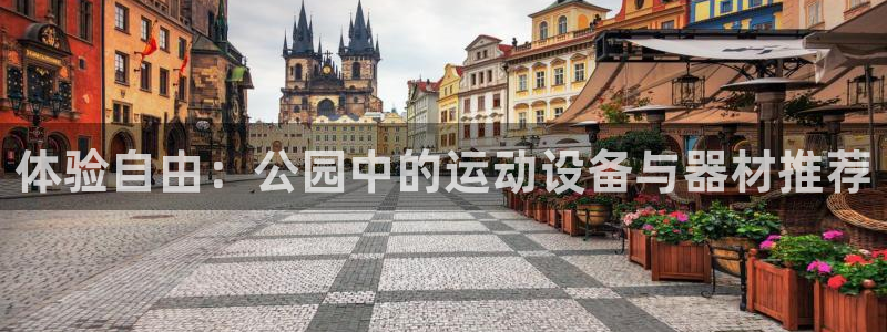 意昂4集团简介：体验自由：公园中的运动设备与器材推荐