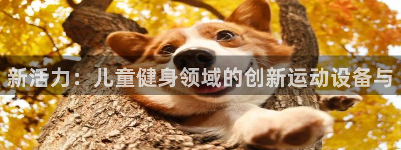 意昂体育4平台注册：新活力：儿童健身领域的创新运动设
