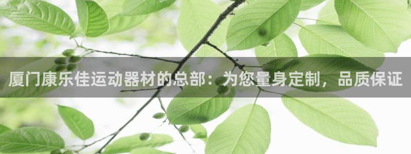 意昂4娱乐下载：厦门康乐佳运动器材的总部：为您量身定