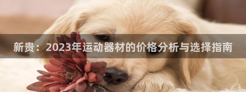 意昂4娱乐：新贵：2023年运动器材的价格分析与选择