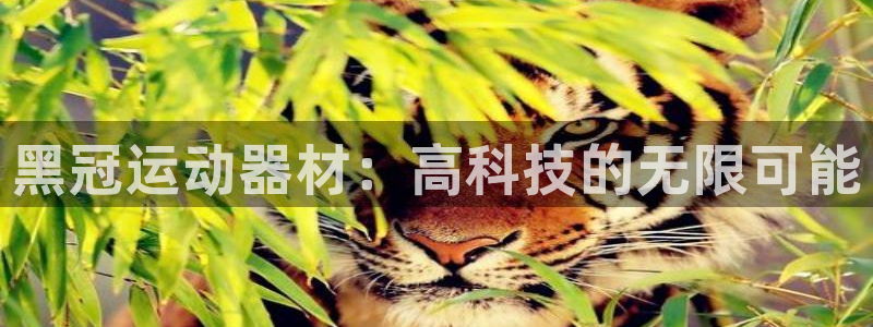 意昂体育4招商电话号码查询是多少：黑冠运动器材：高科