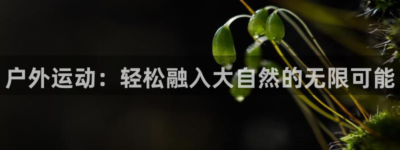 意昂4集团简介：户外运动：轻松融入大自然的无限可能