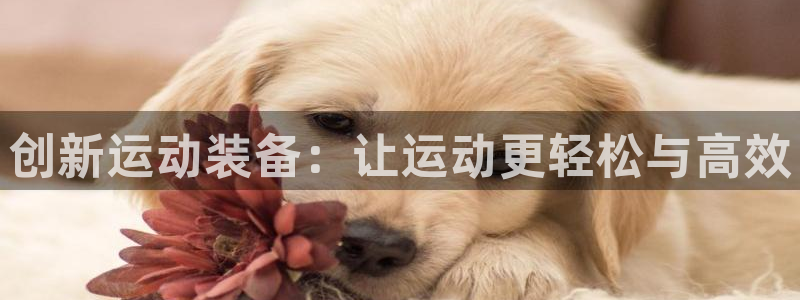 意昂4娱乐代理怎么样：创新运动装备：让运动更轻松与高