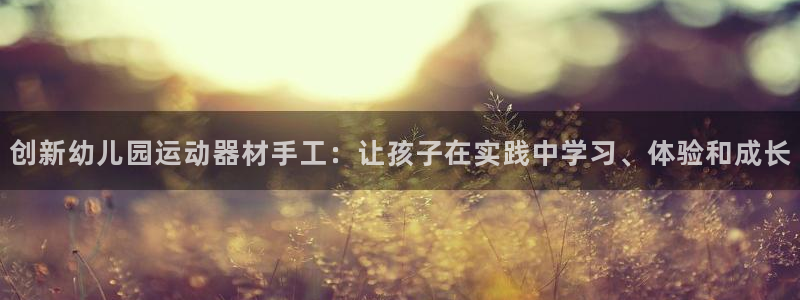 意昂体育4娱乐：创新幼儿园运动器材手工：让孩子在实践