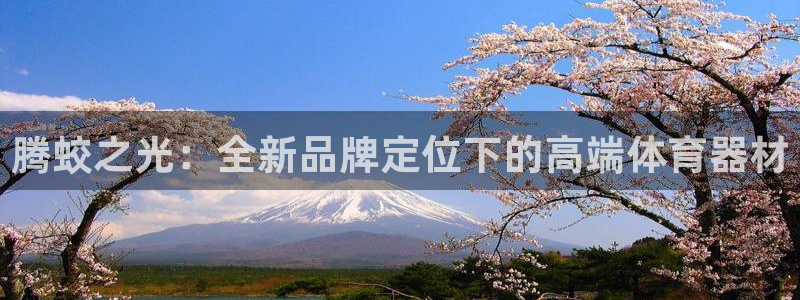 意昂体育4平台APP：腾蛟之光：全新品牌定位下的高端