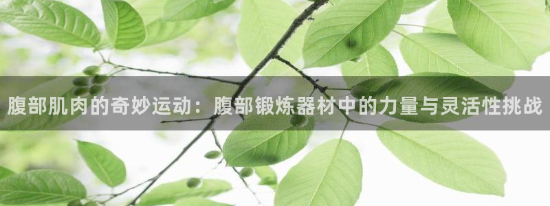 注册意昂4：腹部肌肉的奇妙运动：腹部锻炼器材中的力量与灵活性
