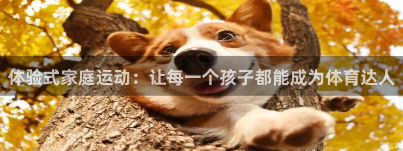 意昂平台体育：体验式家庭运动：让每一个孩子都能成为体