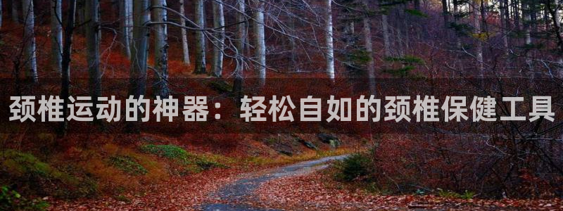 意昂体育4：颈椎运动的神器：轻松自如的颈椎保健工具