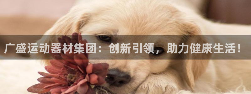 意昂体育4招商电话号码查询：广盛运动器材集团：创新引