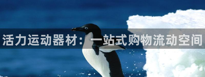 意昂4官方：活力运动器材：一站式购物流动空间