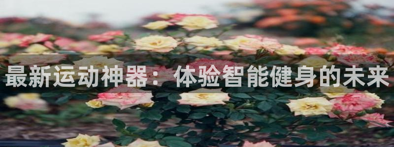 意昂4集团简介：最新运动神器：体验智能健身的未来