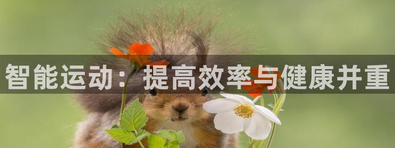 意昂4娱乐网站：智能运动：提高效率与健康并重