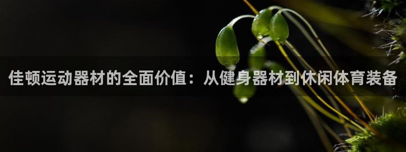 意昂4神州：佳顿运动器材的全面价值：从健身器材到休闲