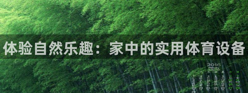 意昂体育4注册：体验自然乐趣：家中的实用体育设备