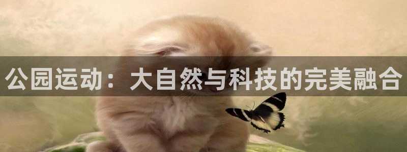 意昂4娱乐网站：公园运动：大自然与科技的完美融合