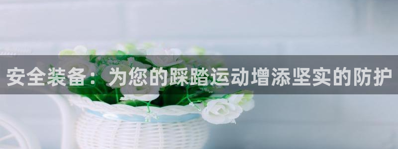 意昂4娱乐代理怎么样：安全装备：为您的踩踏运动增添坚