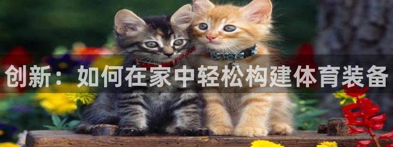 意昂体育4平台注册流程图：创新：如何在家中轻松构建体育装备